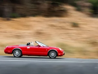Auto Aktuelle Nachrichten, Politik, Wirtschaft, Urlaub, Freude und vieles mehr